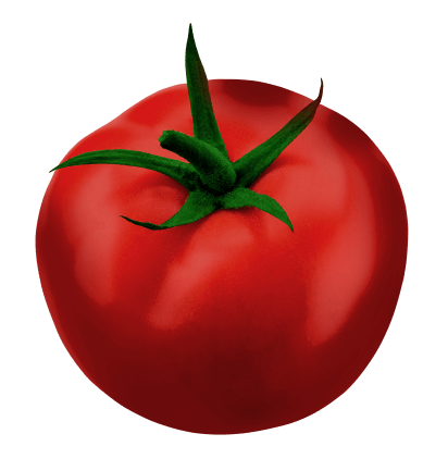 Tomate